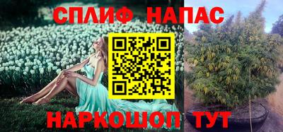 PSILOCYBIN Волжск